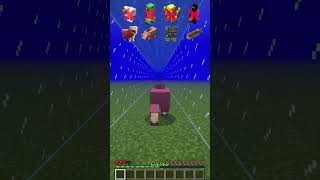 Water Damage vs Different Mobs meme shorts minecraft [upl. by Burkhardt]