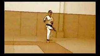 Kata bunkai  Heian nidan [upl. by Adroj]