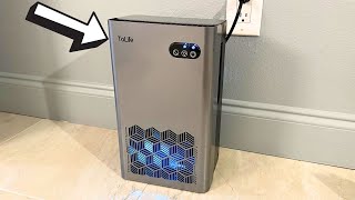 ToLife Dehumidifier Review Quiet 95 OZ Tank amp Auto Shut Off [upl. by Ymrots]