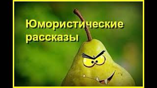 Юмористические рассказы Часть 16 Аудиокнига [upl. by Elakram]