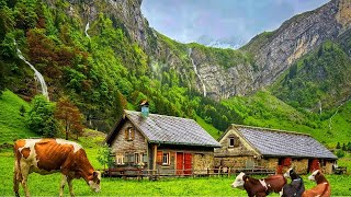 Switzerland Countryside  Relaxing walk in Switzerlands most beautiful villages  rain ambience [upl. by Francesco]