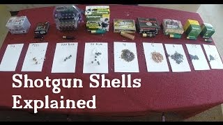 Shotgun Shells Explained [upl. by Nicki]