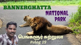 Bannerghatta jungle safari  bannerghatta zoo  bannerghatta national park tour guide in tamil [upl. by Draned107]