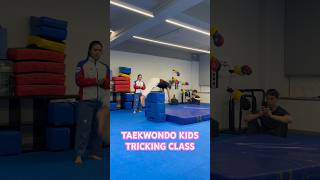 TAEKWONDO KIDS  Tricking Class  Kids Activities  Kids Sports  Martial Arts  South Korea  HK [upl. by Marcell674]