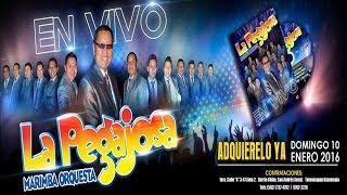 MARIMBA ORQUESTA LA PEGAJOSA DVD 2016  EL PERDON [upl. by Ssilem145]