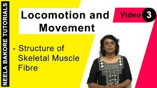 Locomotion and Movement  NEET  Structure of Skeletal Muscle  Neela Bakore Tutorials [upl. by Giana12]