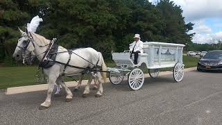 New York Funeral Horse Carriage Company provides an Unforgettable Last Ride before a Burial [upl. by Kcinnay]