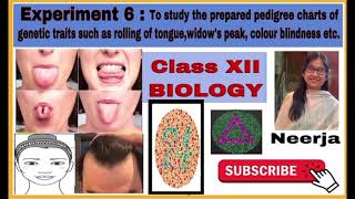 To study prepared pedigree charts of genetic traits ￼Experiment 6class 12biology by Neerja [upl. by Aerdnat]