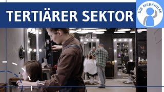 Tertiärer Sektor  Dienstleistungen  Wirtschaftssektoren 3  Dienstleistungsgesellschaft [upl. by Chemush933]