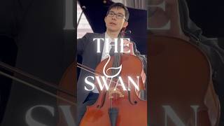 🦢 The Swan – Cellos Soothing Sound cello theswan classicalmusic [upl. by Denoting]