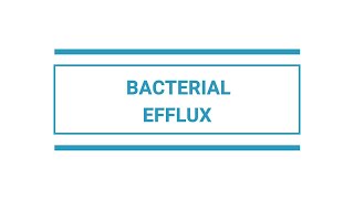 Bacterial Efflux [upl. by Adel]