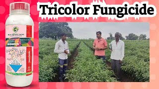 Tricolor  Trifloxystrobin 10  Difenoconazole 125 Sulfur 3 SC  Tricolor Fungicide [upl. by Yelyk]