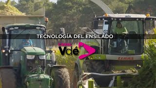 Tecnología del ensilado de maíz [upl. by Eiram]