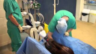 Anaesthetising and preparing the horse for surgery [upl. by Cinom]