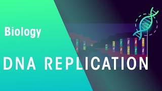 DNA Replication  Genetics  Biology  FuseSchool [upl. by Pate]