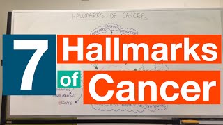 Hallmarks of Cancer  Pathophysiology [upl. by Kcirret]