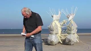 STRANDBEEST EVOLUTION 2017 360p [upl. by Aoket]