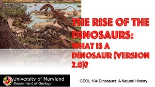 Lecture 16 The Rise of the Dinosaurs part 1 [upl. by Kinzer]