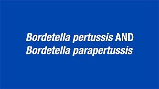 Bordetella pertussis and Bordetella parapertussis Hot Topic [upl. by Hieronymus]