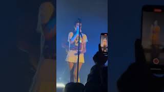 Halsey  You asked for this live cr n0tNESSAsarily [upl. by Affer]