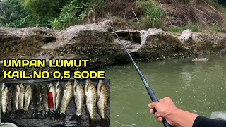 Pesta Strike Mancing Nilem Di Sungai Logawa Umpan Lumut [upl. by Lenod]