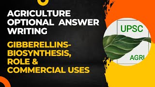 Gibberellins Biosynthesis Role amp Commercial Uses  Agriculture Optional Answer Writing  UPSC [upl. by Ylim322]