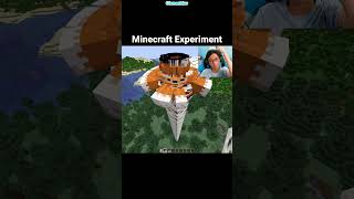 Minecraft Fox Experiment [upl. by Migeon995]