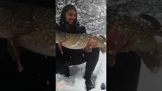 Wow nice ice fishing 🎣🎣🎣🦈 fishing icefishing fish winter [upl. by Marler]