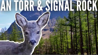 We spotted deer at An Torr and climbed up to Signal Rock in the heart of Glencoe Scotland [upl. by Hesta]