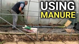 Using Manure in the Garden [upl. by Darnok619]