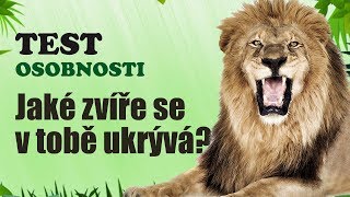 TEST OSOBNOSTI  Zjisti jaké zvíře se v tobě ukrývá [upl. by Lanaj961]