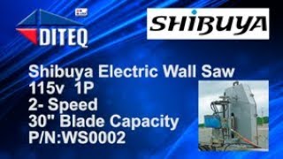 Shibuya Electric Wall Saw [upl. by Ellerrehs413]