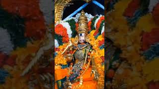 Amma thaye Meenakshi amman songs tamil [upl. by Kusin85]