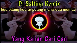 Dj Salting  Dj Salting Slow Remix Tiktok Terbaru 2021 [upl. by Leclair]