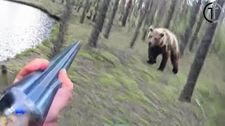 The Most BRUTAL Grizzly Bear Attack In History 2024 [upl. by Meagher845]