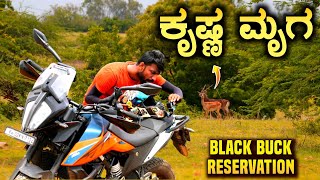 Part 1  ಬೆಂಗಳೂರು Near ಕೃಷ್ಣ ಮೃಗ  Blackbuck Conservation Near Bangalore  Kannada Moto Vlog [upl. by Polash]