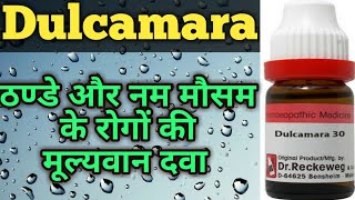 Dulcamara II Dulcamara Homeopathy II Dulcamara 30 Homeopathic Medicine uses [upl. by Aprilette428]