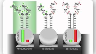 Illumina Infinium Assay An Overview [upl. by Nirahs]