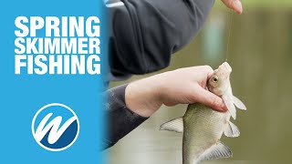 Spring Skimmer Fishing with Pellets  In Session  Jamie Hughes  Match Fishing Bream [upl. by Nus]