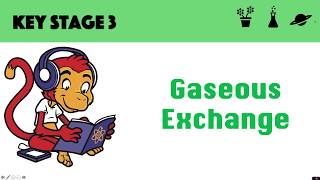 Gaseous Exchange [upl. by Lotsirb]