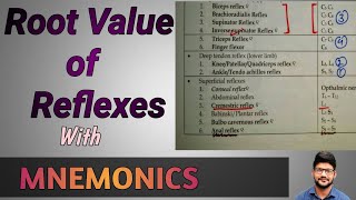 Dr Tricks  Root Value of superficial Reflexes And Deep Tendon Reflexes With MNEMONICS 🔥 [upl. by Rede]