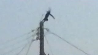 Cat gets ELECTROCUTED BACKFLIP [upl. by Kress501]