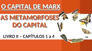 AS METAMORFOSES DO CAPITAL  O CAPITAL DE MARX Livro II Cap 14 VID 2 [upl. by Ellinad806]