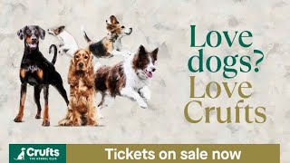 Tickets for Crufts 2024 are on sale NOW [upl. by Noe8]