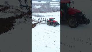 Case IH Optum 300 cvx  Lemekn EurOpal 8 [upl. by Wadesworth]