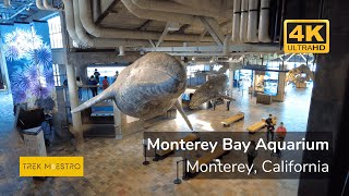 4K Walking Tour of Monterey Bay Aquarium in Monterey California [upl. by Malloy668]