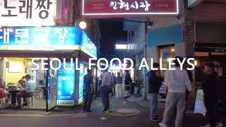 SEOUL’S “Food Alleys”  Neighborhood Restaurant Alleyways [upl. by Camden]