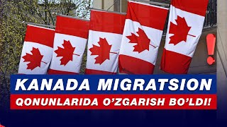 KANADA MIGRATSION QONUNLARIDA OZGARISH BOLDI [upl. by Airdnaxila]