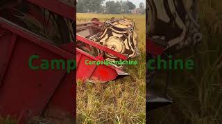 Campaign machine 👩‍🌾🥰 amazing paddy harvesting technology shortvideo [upl. by Noryak308]