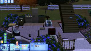 Lets Play Die Sims 3 Einfach Tierisch 017 Katzenfreundschaften fürs Leben [upl. by Marguerita651]